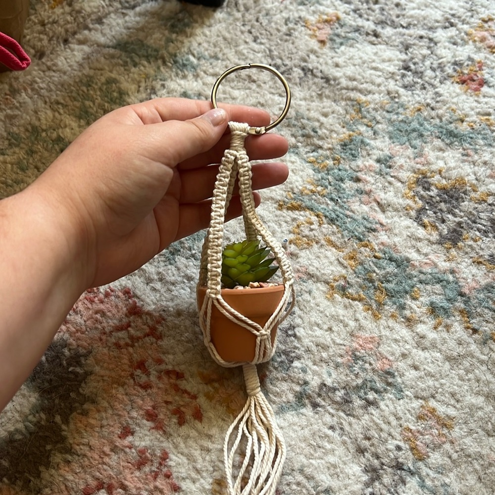 Macrame Rearview Mirror Plant